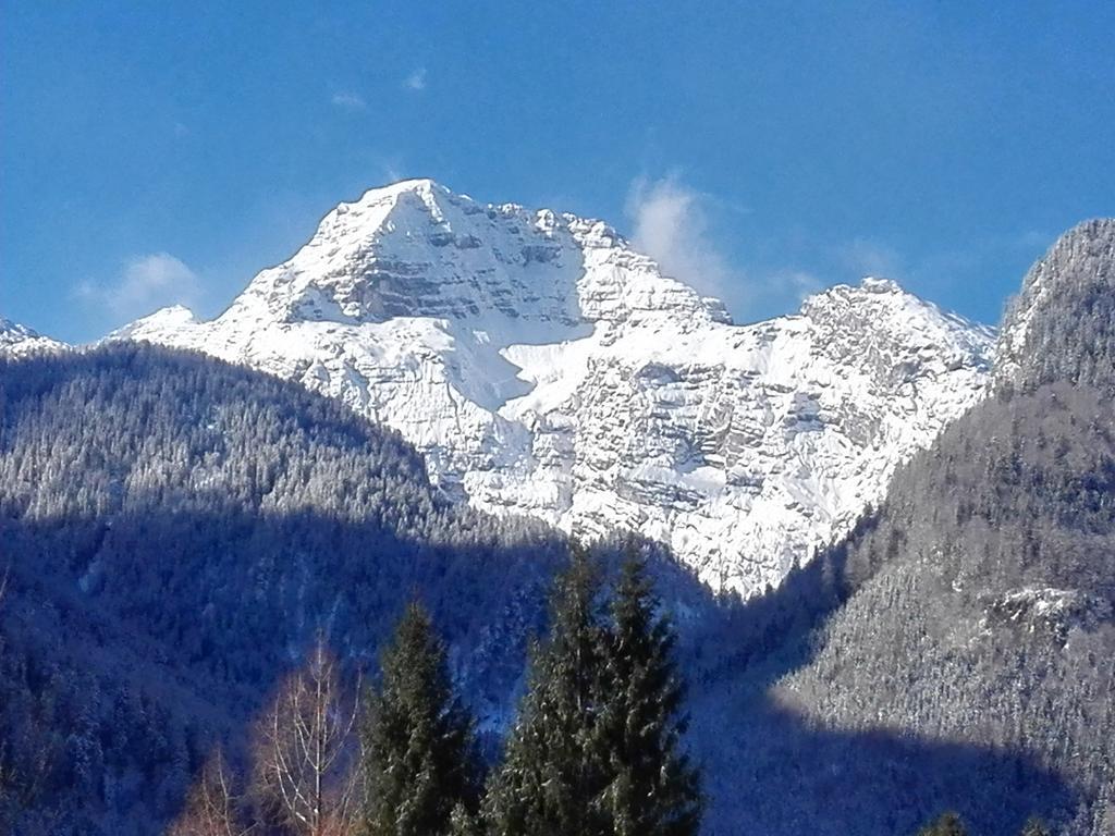 Pension Wildental Sankt Martin bei Lofer Exteriér fotografie